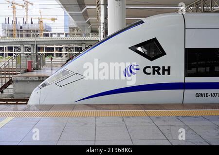 Treni espressi, CRH sul binario, stazione di Hongqiao, Shanghai, Cina Foto Stock