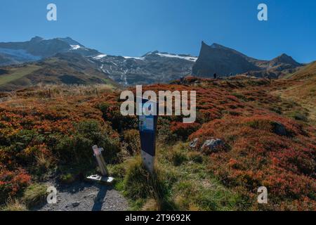 Ghiacciaio Hintertux, sentieri escursionistici, escursionisti, stazione intermedia Sommerbergalm (2) (100 m), mondo alpino, cielo blu, Alpi Zillertal, Tirolo Foto Stock