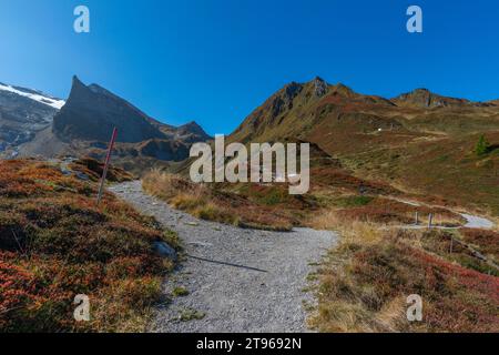 Ghiacciaio Hintertux, sentieri escursionistici, escursionista, stazione intermedia Sommerbergalm (2) (100 m), mondo alpino di montagna, cielo blu, vegetazione autunnale, Zillertal Foto Stock