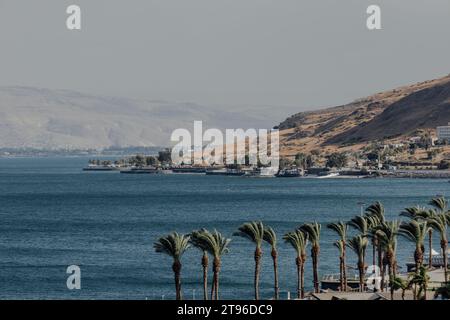 Palme nel Mare di Galilie. linea costiera blu e verde in estate. Foto Stock