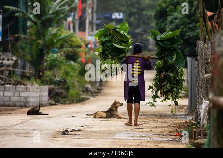 Una contadina operaia in Vietnam Foto Stock