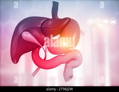 Anantomia di fegato stomaco pancreas cistifellea e milza su sfondo medico. illustrazione 3d. Foto Stock