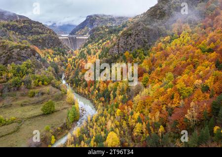 Vista aerea di un tortuoso fiume che scorre oltre una maestosa diga circondata da fitte foreste autunnali incastonate tra montagne coperte di nebbia Foto Stock