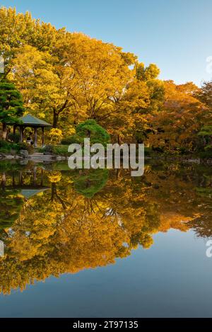 Laghetto di Kumogata nell'Hibiya Park Tokyo in autunno Foto Stock