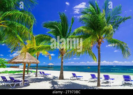 Cancun, Messico. Paesaggio tropicale con palme da cocco sulla spiaggia del Mar dei Caraibi, nella penisola dello Yucatan. Foto Stock