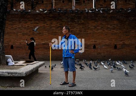 Thailandia. 23 novembre 2023. Qualcuno con un bastone eccita i piccioni per i turisti che scattano foto al Ta Pae Gate nel centro di Chiang mai, Thailandia. Vita quotidiana a Chiang mai, in Thailandia, mentre il governo thailandese spinge per la crescita del mercato turistico internazionale, ha recentemente messo in atto programmi di ingresso senza visto nel regno per i turisti internazionali provenienti da Russia, Cina e India. Crediti: Matt Hunt/Neato/Alamy Live News Foto Stock