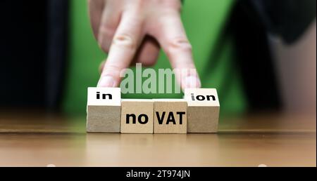 I cubi di legno formano le espressioni "senza IVA" e "innovazione". Foto Stock