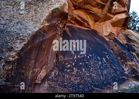 Newspaper Rock nello Utah sud-orientale Foto Stock