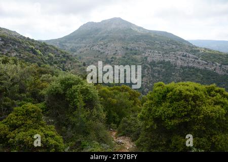 Il monte Kefalas e le colline e la foresta circostanti, come si vede da un sentiero escursionistico sull'isola greca di Ikaria, vicino a Evdilos, in Grecia. Foto Stock