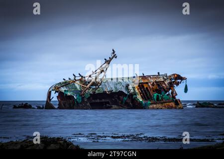 naufragio di una barca cairnbulg nell'aberdeenshire scozia. Foto Stock