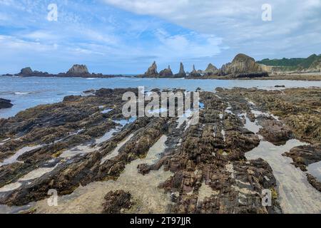 spiaggia rocciosa con piscine di marea e formazioni rocciose frastagliate sotto un cielo blu, piena di alghe e altre forme di vita marina Foto Stock