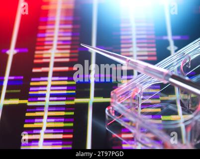 Pipetta e piastra multipozzetto con dati di ricerca sul DNA Foto Stock