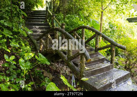 Attrazioni e natura intorno al Parco Nazionale Yangmingshan a Taipei, Repubblica di Cina a Taiwan Foto Stock