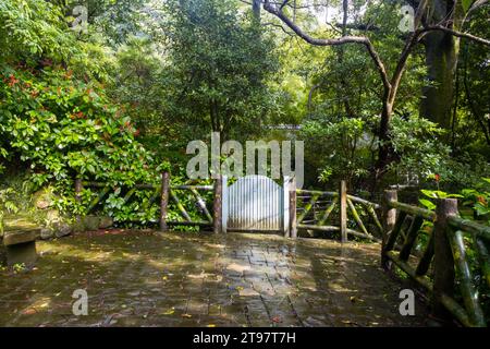 Attrazioni e natura intorno al Parco Nazionale Yangmingshan a Taipei, Repubblica di Cina a Taiwan Foto Stock