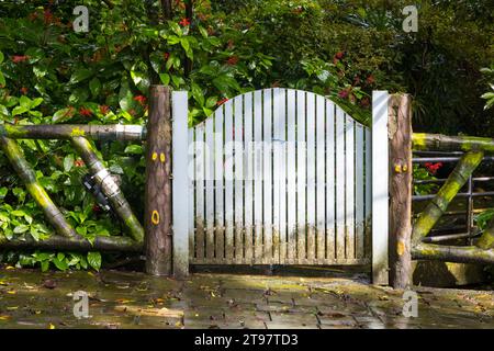 Attrazioni e natura intorno al Parco Nazionale Yangmingshan a Taipei, Repubblica di Cina a Taiwan Foto Stock