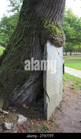 Bad Homburg, Germania 14 ottobre 2016: Il Saalburg è un forte romano situato sulla cresta principale del Taunus, a nord-ovest di Bad Homburg, Assia, Germania Foto Stock