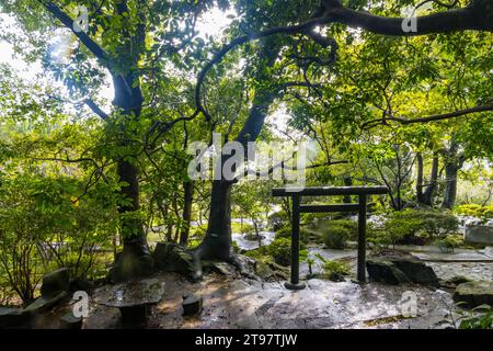 Attrazioni e natura intorno al Parco Nazionale Yangmingshan a Taipei, Repubblica di Cina a Taiwan Foto Stock