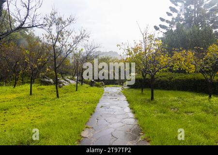 Attrazioni e natura intorno al Parco Nazionale Yangmingshan a Taipei, Repubblica di Cina a Taiwan Foto Stock