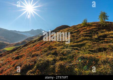 Aurine Alpen Foto Stock