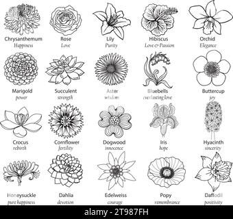 20 fiori con buoni significati. Illustrazione vettoriale. Illustrazione Vettoriale