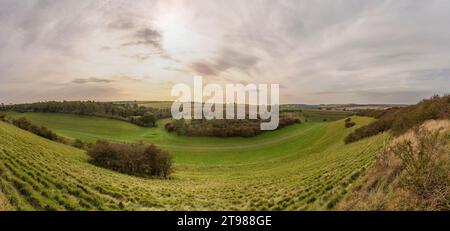 Una tipica valle di gesso secco vicino al villaggio di Warter nello Yorkshire Wolds, Regno Unito Foto Stock