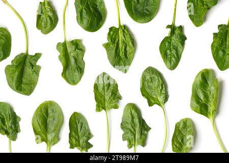 Foglie di spinaci fresche isolate su sfondo bianco, piatto, vista dall'alto. Sfondo di foglie verdi di spinaci. Il concetto di corretta alimentazione Foto Stock