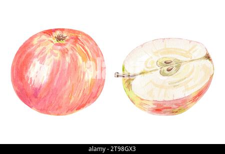 Mele rosse dipinte a mano Clipart e foglie verdi. Illustrazione botanica ad acquerello elemento isolato su sfondo bianco. Art for food design, logo Foto Stock
