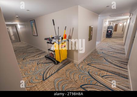 Vista ravvicinata delle stazioni di pulizia negli ingressi dell'hotel, situata di fronte alle porte della camera. Miami Beach. USA. Foto Stock