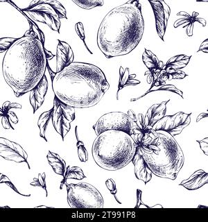 Limoni succosi, maturi con foglie, boccioli di fiori sui rami, interi e a fette. Illustrazione grafica botanica disegnata a mano in inchiostro blu. Ripetizione senza cuciture Illustrazione Vettoriale