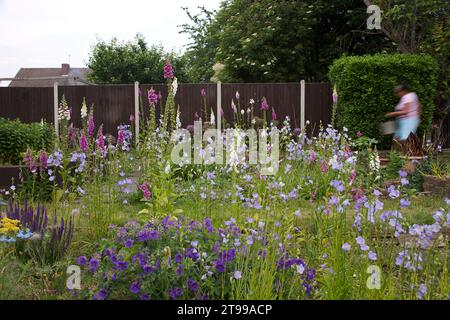 Cottage Garden ad Abbey Wood, sud-est di Londra. I fiori includono guanti di volpe, campane di Canterbury, rose, gerani Foto Stock