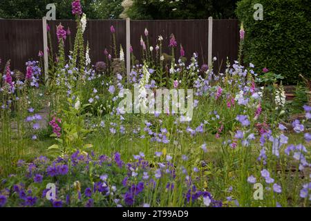 Cottage Garden ad Abbey Wood, sud-est di Londra. I fiori includono guanti di volpe, campane di Canterbury, rose, gerani Foto Stock