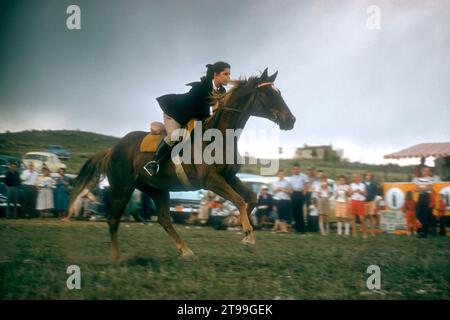 COLORADO SPRINGS, CO - MAGGIO 1954: Visione generale di una donna non identificata cavalca il suo cavallo mentre partecipa a Gymkhana, che è un evento equestre costituito da corse di pattern di velocità e giochi a tempo per i piloti sui cavalli intorno al maggio 1954 a Colorado Springs, Colorado. (Foto di Hy Peskin) Foto Stock