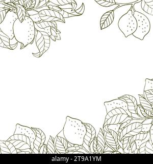 Un bordo di ramoscelli di limone e limoni. Una composizione di agrumi in stile grafico. Illustrazione vettoriale isolata su sfondo bianco Illustrazione Vettoriale