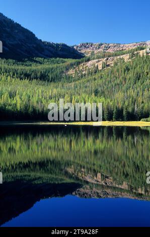 Strawberry Lake, Strawberry Mountain Wilderness, Malheur National Forest, Oregon Foto Stock