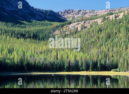 Strawberry Lake, Strawberry Mountain Wilderness, Malheur National Forest, Oregon Foto Stock