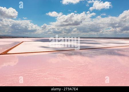 Vista aerea sulle rive degli argini e il sale rosa del lago Bumbunga a Lochiel, Australia meridionale Foto Stock