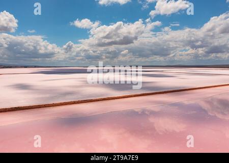 Vista aerea sulle rive degli argini e il sale rosa del lago Bumbunga a Lochiel, Australia meridionale Foto Stock