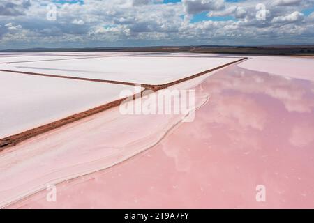 Vista aerea sulle rive degli argini e il sale rosa del lago Bumbunga a Lochiel, Australia meridionale Foto Stock