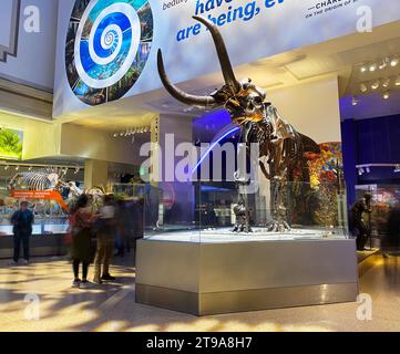 Scheletro fossile di mastodon americano nella Hall of Fossils, recentemente rinnovata, presso lo Smithsonian National Museum of Natural History di Washington DC Foto Stock