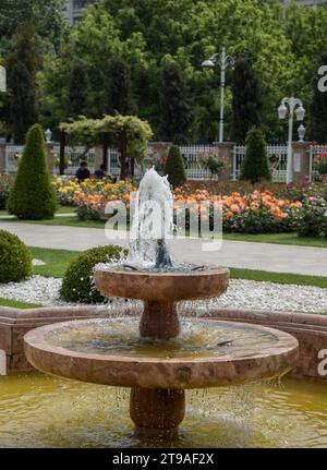 Acqua che sgorga fuori la fontana nel giardino di rose Foto Stock