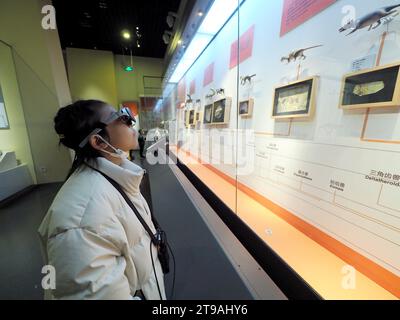 PECHINO, CINA - 24 NOVEMBRE 2023 - Un bambino visita una mostra attraverso occhiali intelligenti AR presso il Museo Nazionale di storia naturale di Pechino, Cina Foto Stock