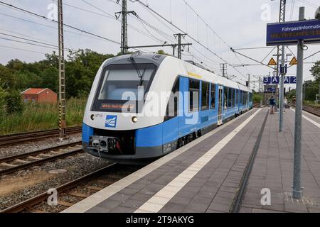 Eisenbahnverkehr im Bahnhof Bad Bentheim - Regionalbahn Zug der Bentheimer Eisenbahn RB 56, Regiopa Express, Bad Bentheim - Neuenhaus. Eingesetzt werden Treibwagen vom Typ Alstom Coradia LINT 41. Bad Bentheim, Niedersachsen, DEU, Deutschland, 22.08.2023 *** traffico ferroviario alla stazione di Bad Bentheim treno regionale della Bentheimer Eisenbahn RB 56, Regiopa Express, Bad Bentheim Neuenhaus Alstom Coradia LINT 41 vagoni ferroviari sono utilizzati Bad Bentheim, bassa Sassonia, DEU, Germania, 22 08 2023 credito: Imago/Alamy Live News Foto Stock