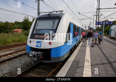 Eisenbahnverkehr im Bahnhof Bad Bentheim - Regionalbahn Zug der Bentheimer Eisenbahn RB 56, Regiopa Express, Bad Bentheim - Neuenhaus. Eingesetzt werden Treibwagen vom Typ Alstom Coradia LINT 41. Bad Bentheim, Niedersachsen, DEU, Deutschland, 22.08.2023 *** traffico ferroviario alla stazione di Bad Bentheim treno regionale della Bentheimer Eisenbahn RB 56, Regiopa Express, Bad Bentheim Neuenhaus Alstom Coradia LINT 41 vagoni ferroviari sono utilizzati Bad Bentheim, bassa Sassonia, DEU, Germania, 22 08 2023 credito: Imago/Alamy Live News Foto Stock