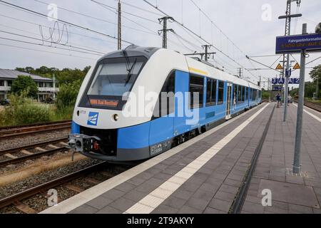 Eisenbahnverkehr im Bahnhof Bad Bentheim - Regionalbahn Zug der Bentheimer Eisenbahn RB 56, Regiopa Express, Bad Bentheim - Neuenhaus. Eingesetzt werden Treibwagen vom Typ Alstom Coradia LINT 41. Bad Bentheim, Niedersachsen, DEU, Deutschland, 22.08.2023 *** traffico ferroviario alla stazione di Bad Bentheim treno regionale della Bentheimer Eisenbahn RB 56, Regiopa Express, Bad Bentheim Neuenhaus Alstom Coradia LINT 41 vagoni ferroviari sono utilizzati Bad Bentheim, bassa Sassonia, DEU, Germania, 22 08 2023 credito: Imago/Alamy Live News Foto Stock