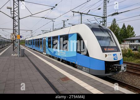 Eisenbahnverkehr im Bahnhof Bad Bentheim - Regionalbahn Zug der Bentheimer Eisenbahn RB 56, Regiopa Express, Bad Bentheim - Neuenhaus. Eingesetzt werden Treibwagen vom Typ Alstom Coradia LINT 41. Bad Bentheim, Niedersachsen, DEU, Deutschland, 22.08.2023 *** traffico ferroviario alla stazione di Bad Bentheim treno regionale della Bentheimer Eisenbahn RB 56, Regiopa Express, Bad Bentheim Neuenhaus Alstom Coradia LINT 41 vagoni ferroviari sono utilizzati Bad Bentheim, bassa Sassonia, DEU, Germania, 22 08 2023 credito: Imago/Alamy Live News Foto Stock