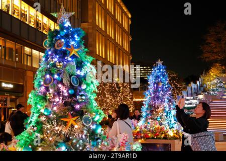 Tokyo, Giappone. 24 novembre 2023. Le persone apprezzano le decorazioni natalizie in mostra fuori dal Tokyo Hibiya Midtown a Tokyo. Quest'anno, 1,2 milioni di luci color champagne vengono utilizzate per illuminare la Nakadori Street di Marunouchi, uno dei punti di illuminazione più popolari di Tokyo durante il periodo natalizio. L'illuminazione si tiene fino a metà febbraio. (Immagine di credito: © Rodrigo Reyes Marin/ZUMA Press Wire) SOLO USO EDITORIALE! Non per USO commerciale! Foto Stock