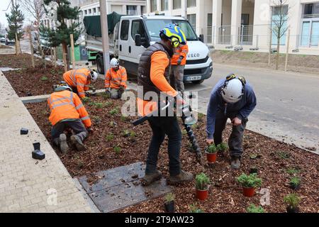 Saint Ouen, Francia. 23 novembre 2023. © PHOTOPQR/LE PARISIEN/Alexandre Arlot ; Saint-Ouen ; 23/11/2023 ; Entre Saint-Denis et Saint-Ouen, le 23 ottobre 2023. La Plantation de 9 000 arbres et arbustes a commencé ce mois-ci sur le Village olympique. Elle s'échelonnera jusqu'au mois de février. - Saint Ouen, Francia, 23 novembre 2023. Giochi Olimpici di Parigi la piantagione di 9.000 alberi e arbusti è iniziata questo mese nel Villaggio Olimpico. Durerà fino a febbraio. Credito: MAXPPP/Alamy Live News Foto Stock