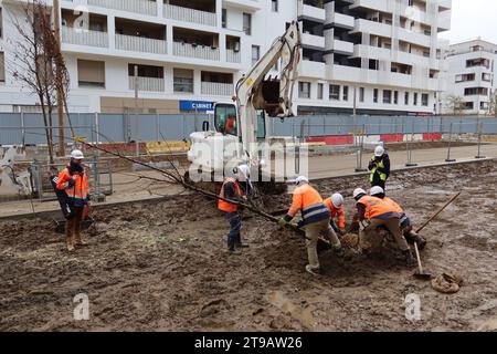 Saint Ouen, Francia. 23 novembre 2023. © PHOTOPQR/LE PARISIEN/Alexandre Arlot ; Saint-Ouen ; 23/11/2023 ; Entre Saint-Denis et Saint-Ouen, le 23 ottobre 2023. La Plantation de 9 000 arbres et arbustes a commencé ce mois-ci sur le Village olympique. Elle s'échelonnera jusqu'au mois de février. - Saint Ouen, Francia, 23 novembre 2023. Giochi Olimpici di Parigi la piantagione di 9.000 alberi e arbusti è iniziata questo mese nel Villaggio Olimpico. Durerà fino a febbraio. Credito: MAXPPP/Alamy Live News Foto Stock