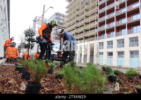 Saint Ouen, Francia. 23 novembre 2023. © PHOTOPQR/LE PARISIEN/Alexandre Arlot ; Saint-Ouen ; 23/11/2023 ; Entre Saint-Denis et Saint-Ouen, le 23 ottobre 2023. La Plantation de 9 000 arbres et arbustes a commencé ce mois-ci sur le Village olympique. Elle s'échelonnera jusqu'au mois de février. - Saint Ouen, Francia, 23 novembre 2023. Giochi Olimpici di Parigi la piantagione di 9.000 alberi e arbusti è iniziata questo mese nel Villaggio Olimpico. Durerà fino a febbraio. Credito: MAXPPP/Alamy Live News Foto Stock