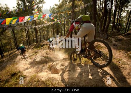 Tre uomini vanno in mountain bike sotto le bandiere nei boschi. Foto Stock